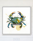 Blue Crab