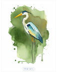 Blue Heron