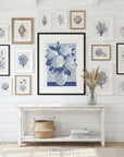 Hydrangea