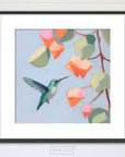 Hummingbird