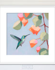 Hummingbird