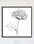 Hydrangea Bloom