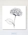 Hydrangea Bloom