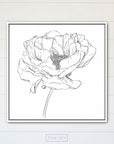 Peony