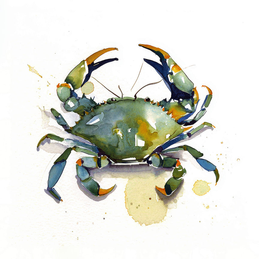 Watercolor