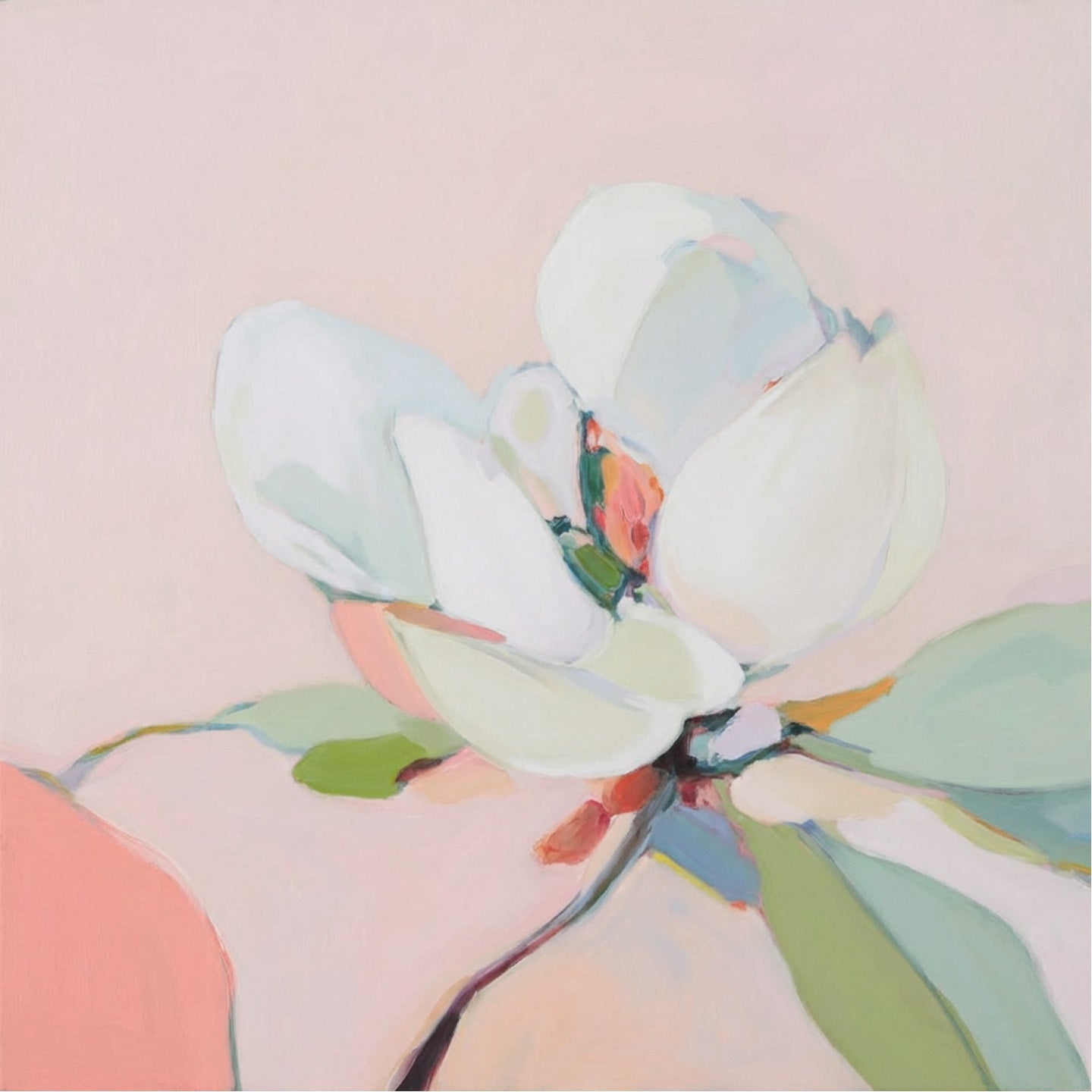 Botanicals