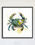 Blue Crab