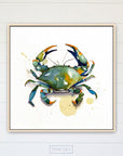 Blue Crab