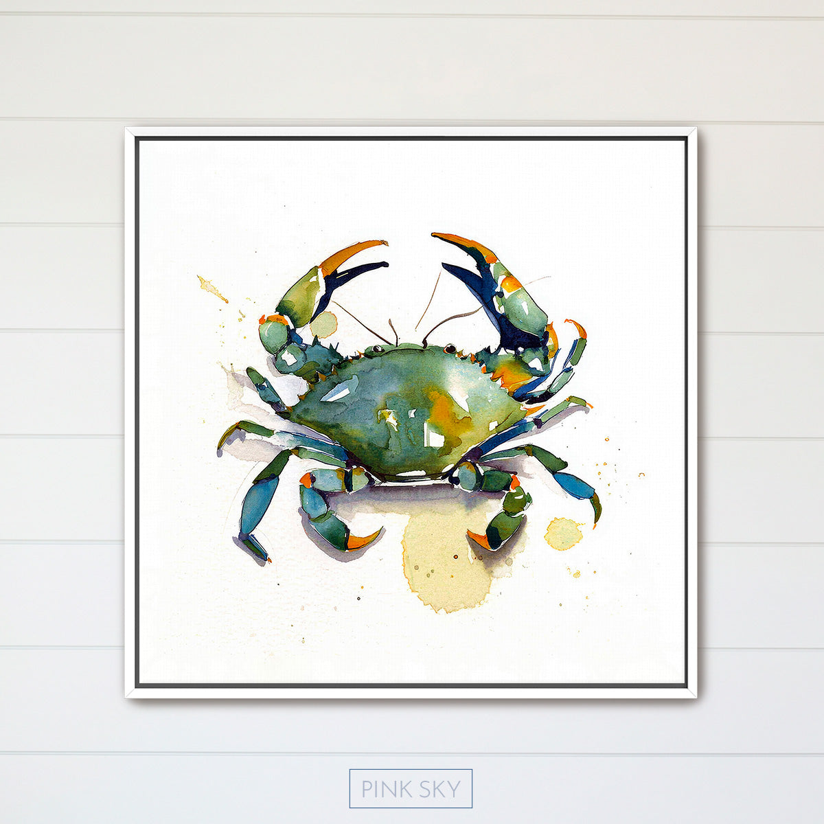 Blue Crab