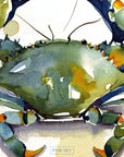 Blue Crab