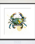 Blue Crab