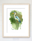Blue Heron