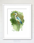 Blue Heron