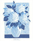 Hydrangea