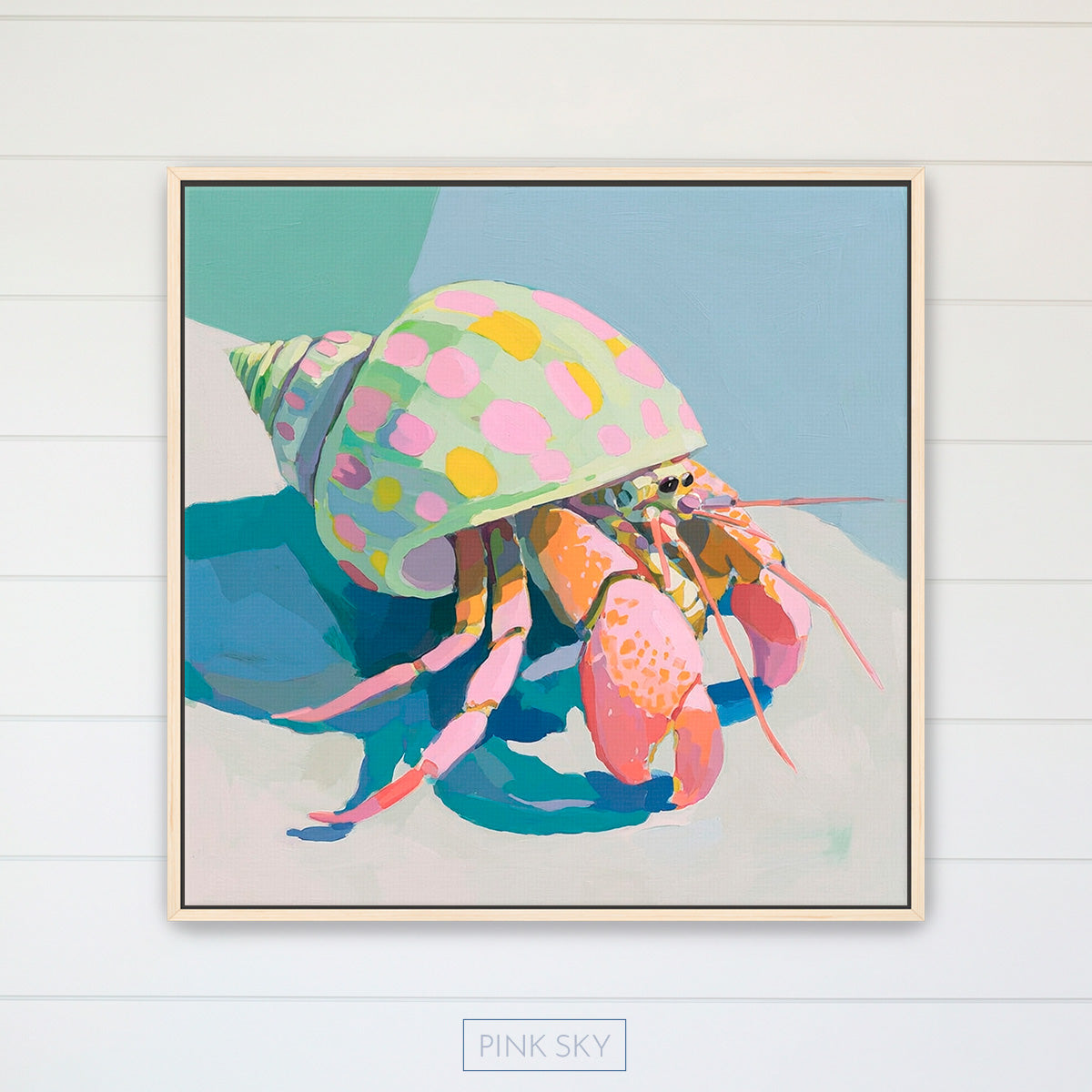 Hermit Crab No.1