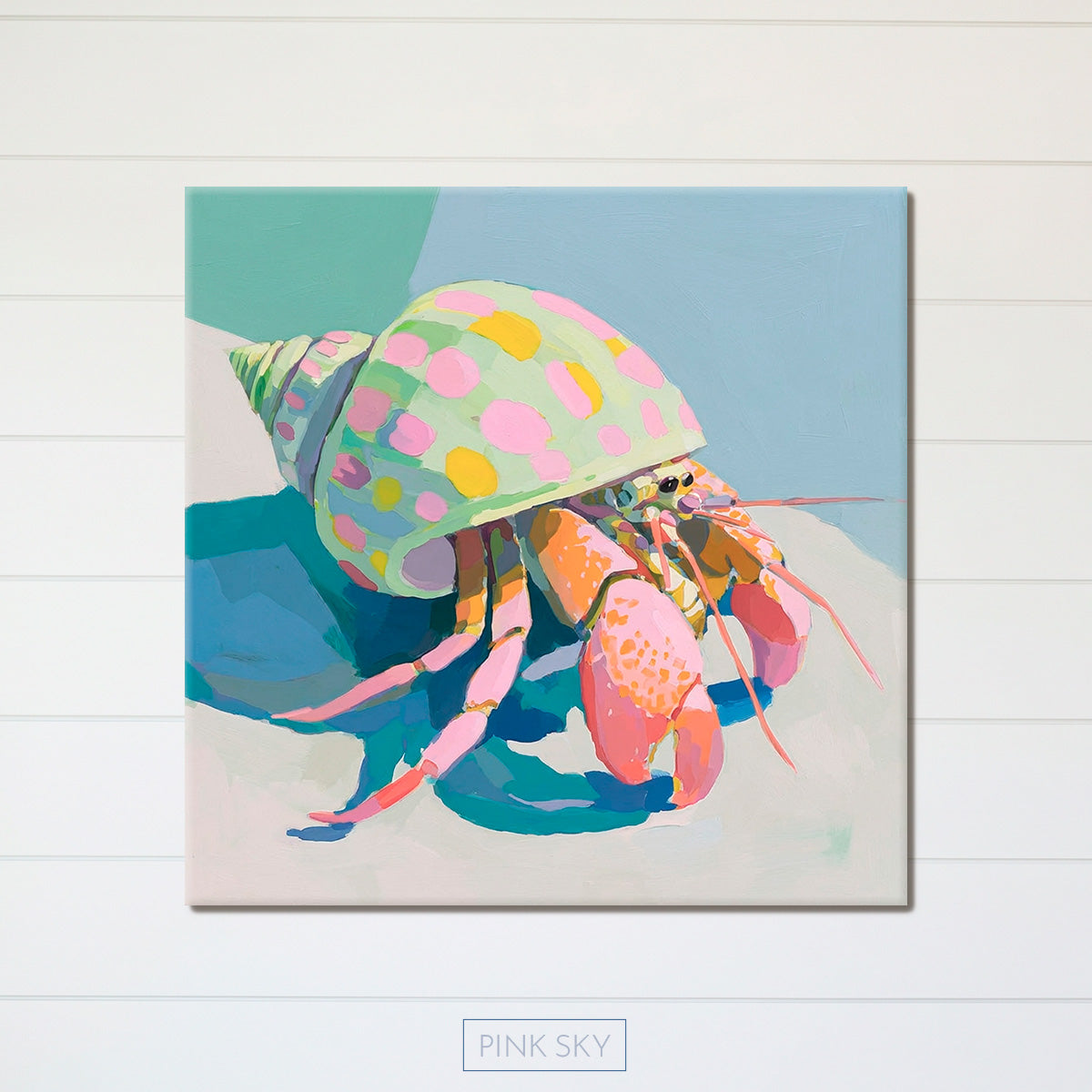 Hermit Crab No.1