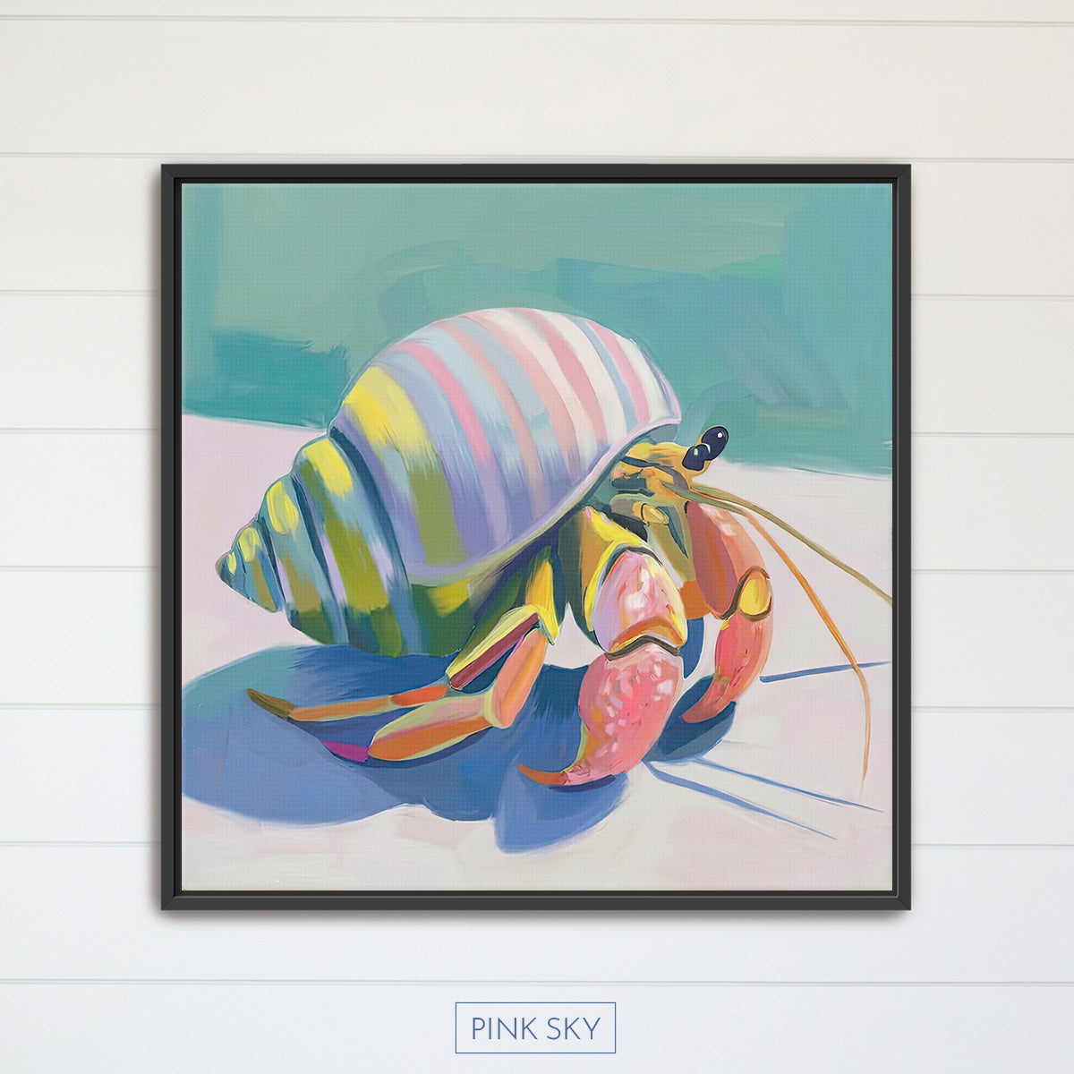 Hermit Crab No.3