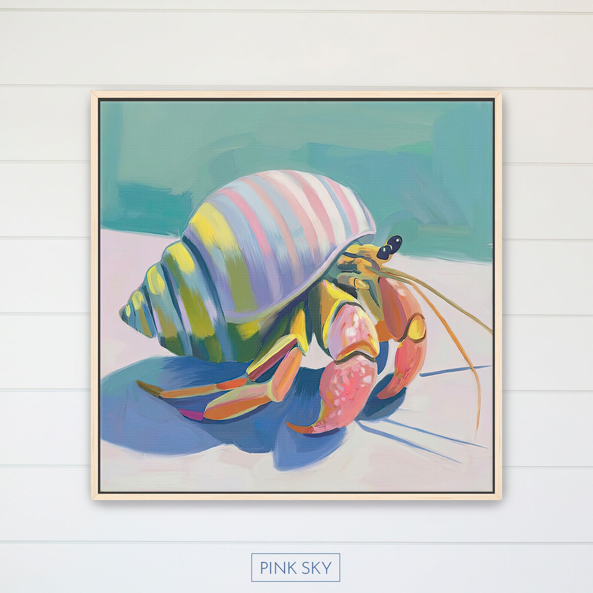 Hermit Crab No.3