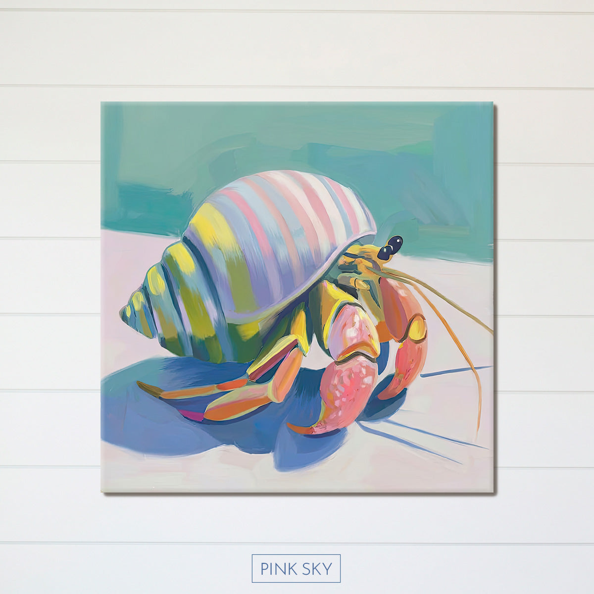 Hermit Crab No.3