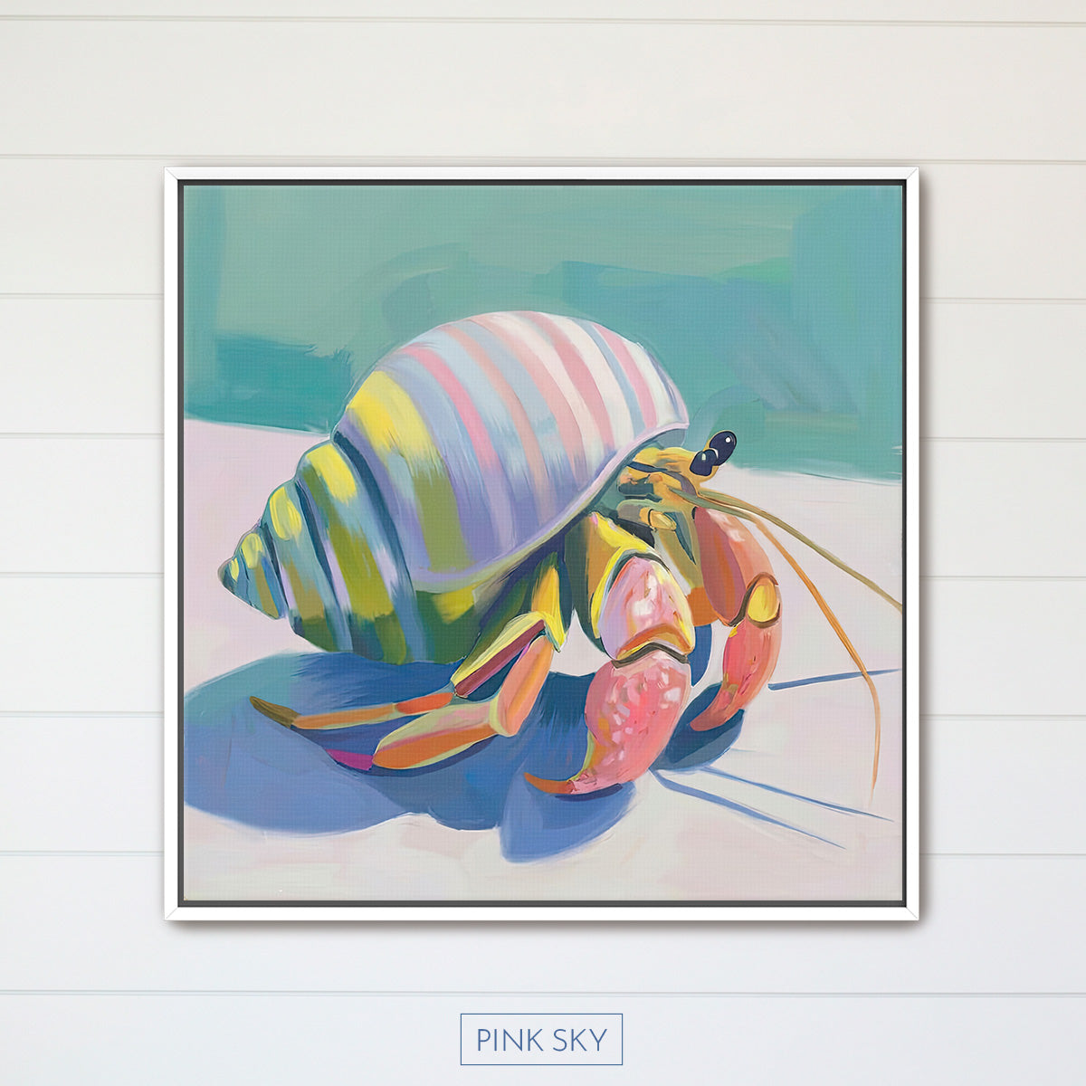 Hermit Crab No.3