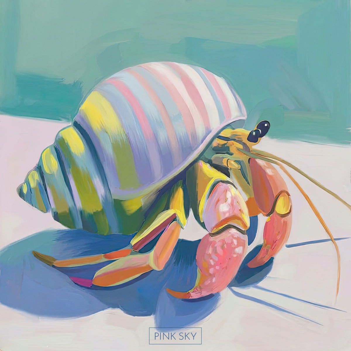 Hermit Crab No.3