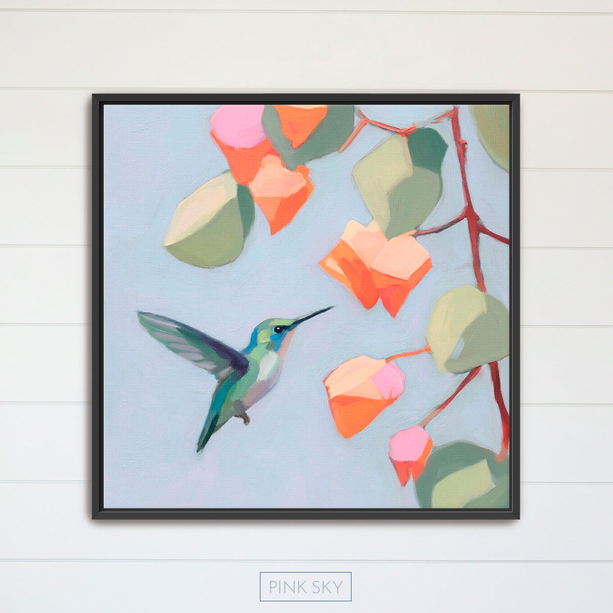 Hummingbird