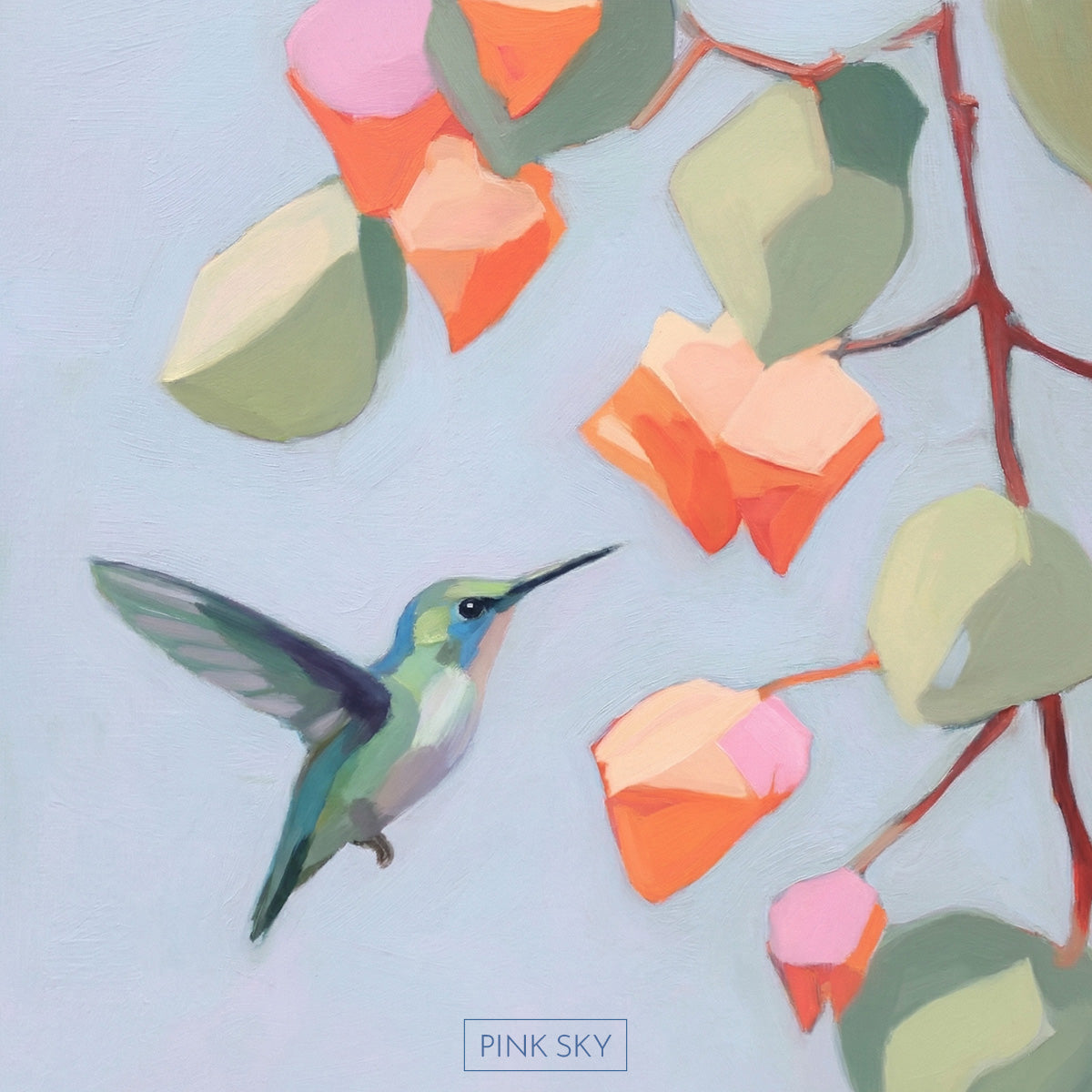 Hummingbird