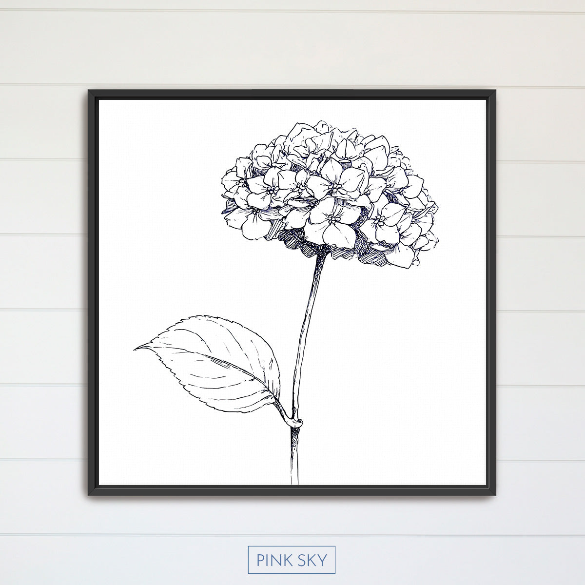 Hydrangea Bloom