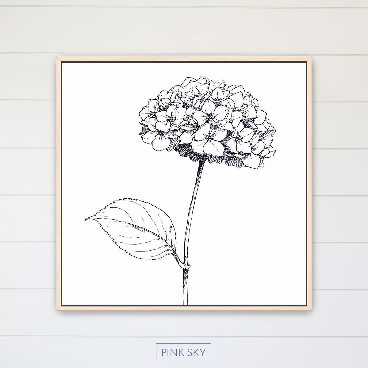 Hydrangea Bloom