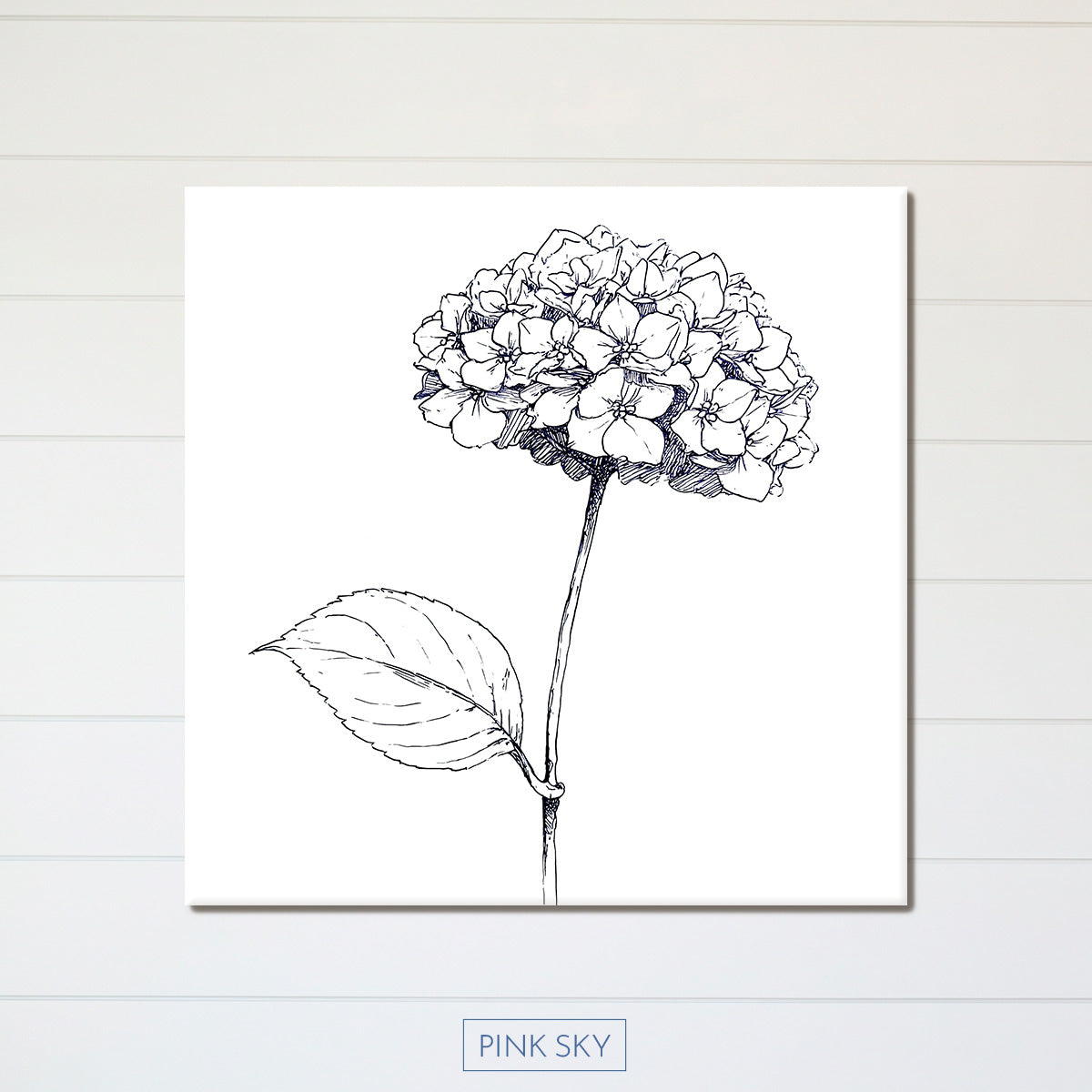 Hydrangea Bloom