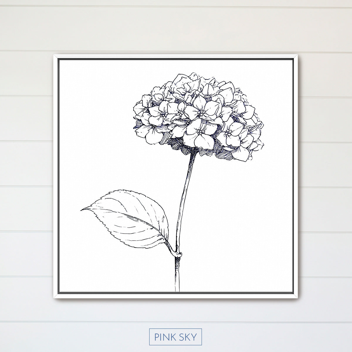 Hydrangea Bloom
