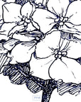 Hydrangea Bloom