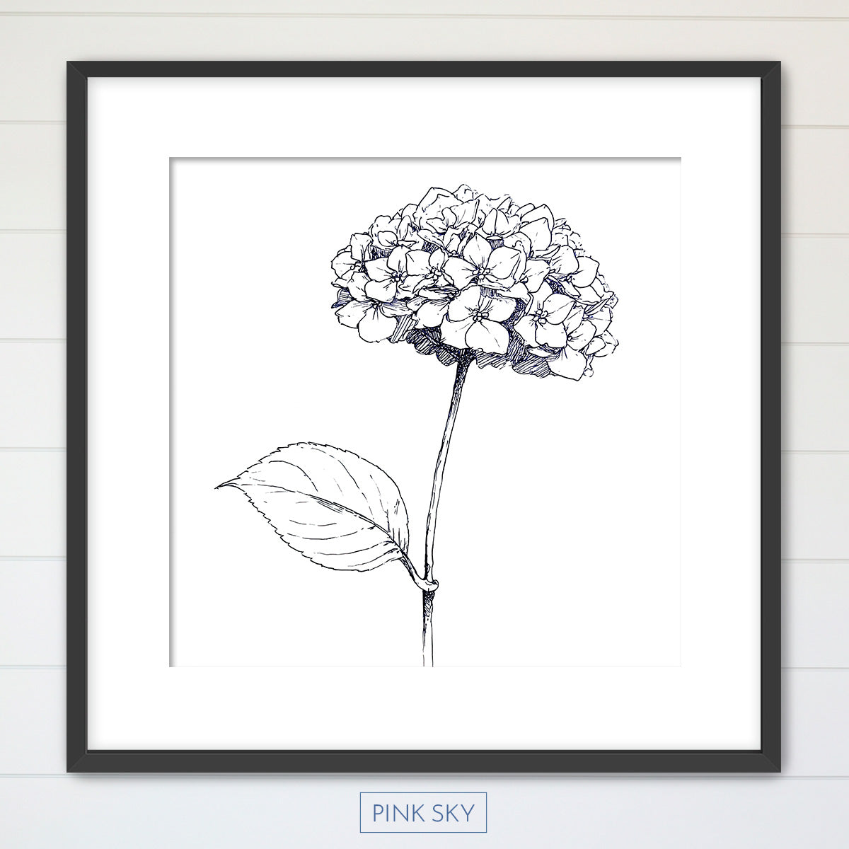 Hydrangea Bloom