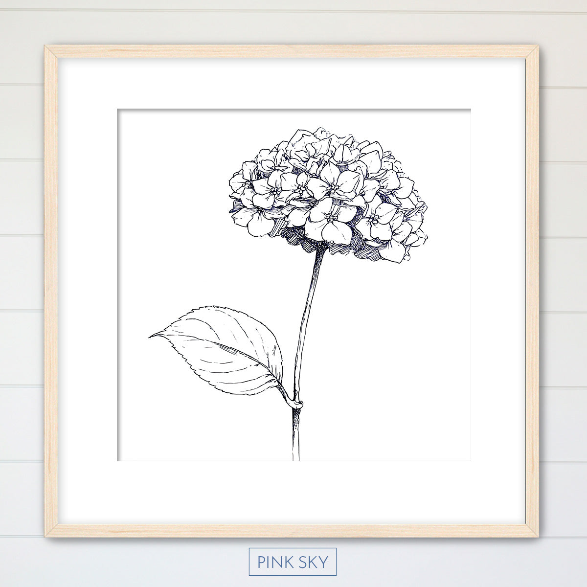 Hydrangea Bloom