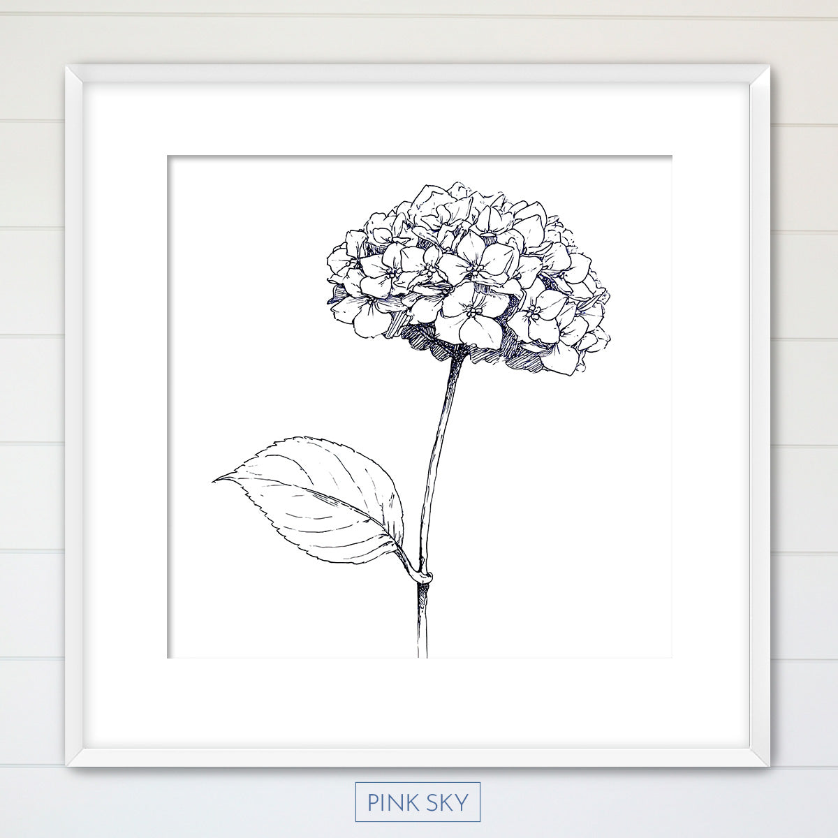Hydrangea Bloom