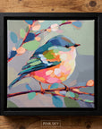 Little Bird