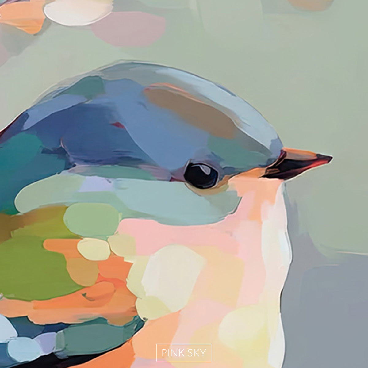 Little Bird