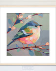 Little Bird