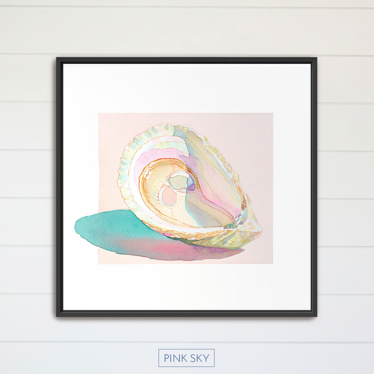 Oyster Shell