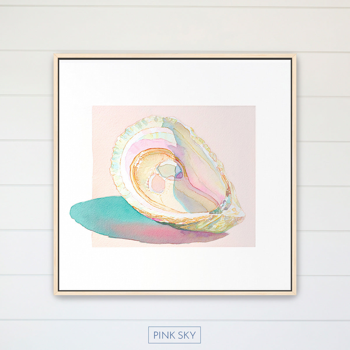 Oyster Shell