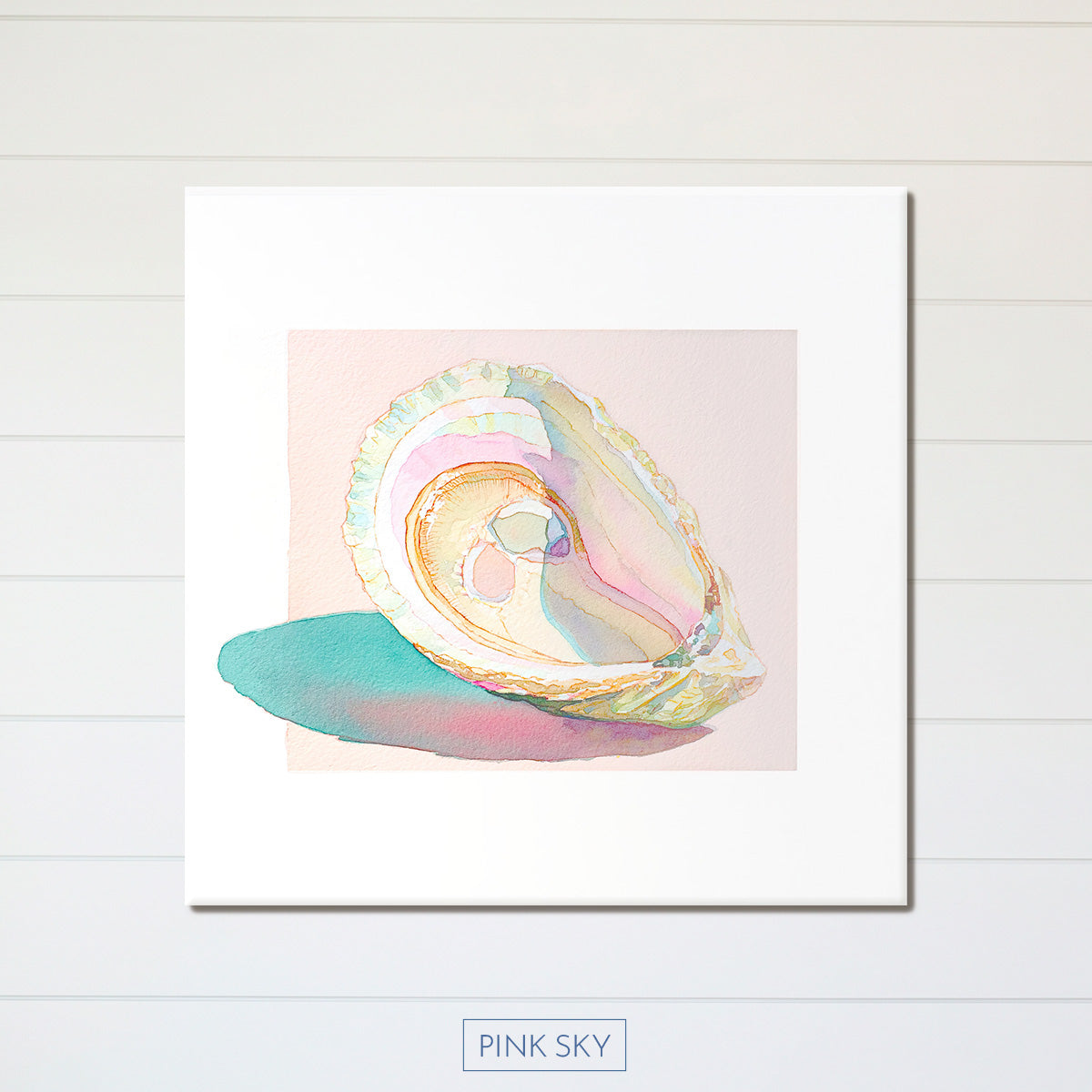 Oyster Shell