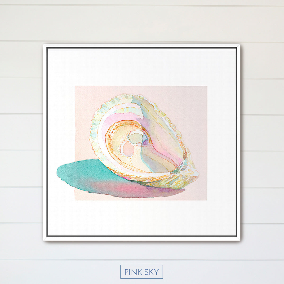 Oyster Shell