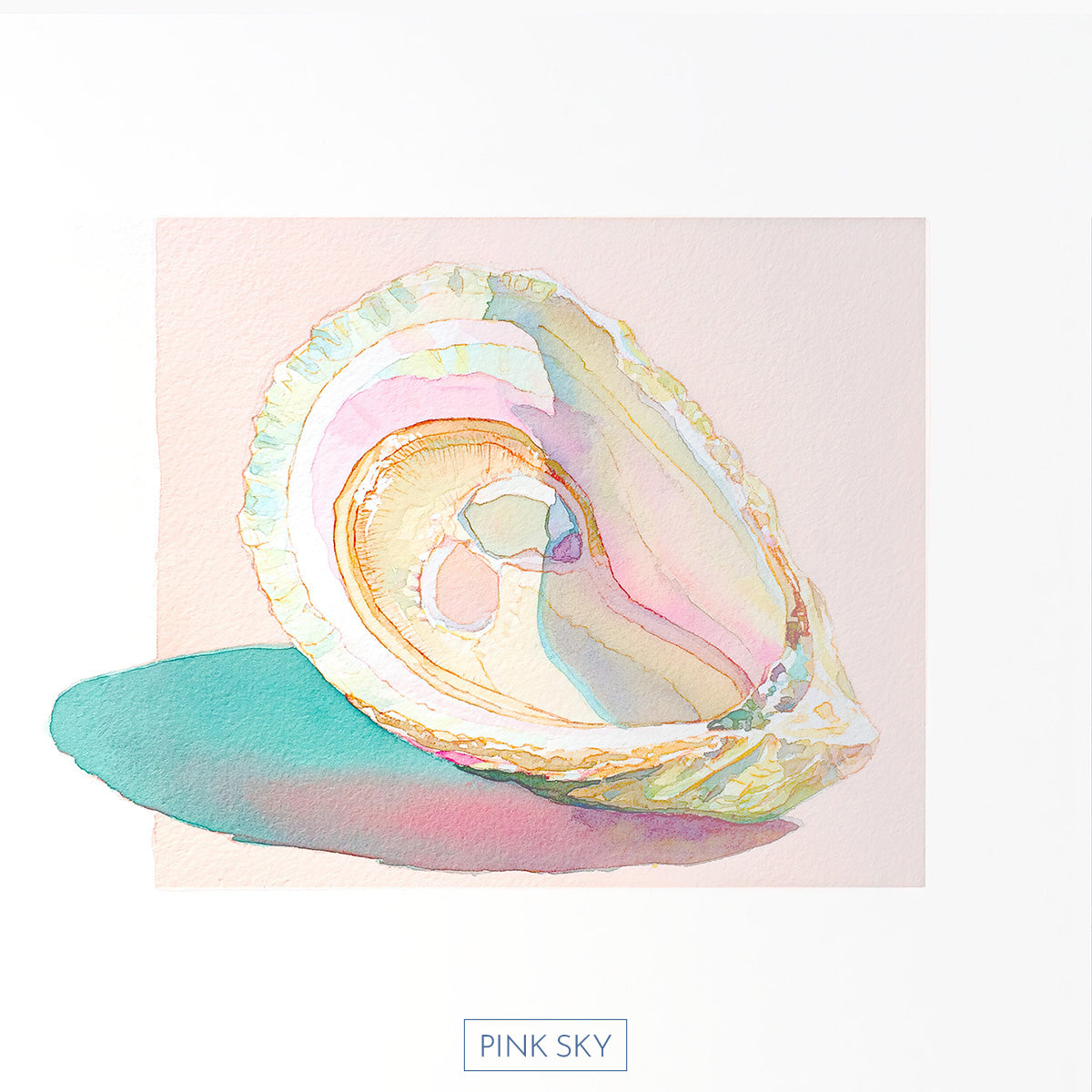 Oyster Shell