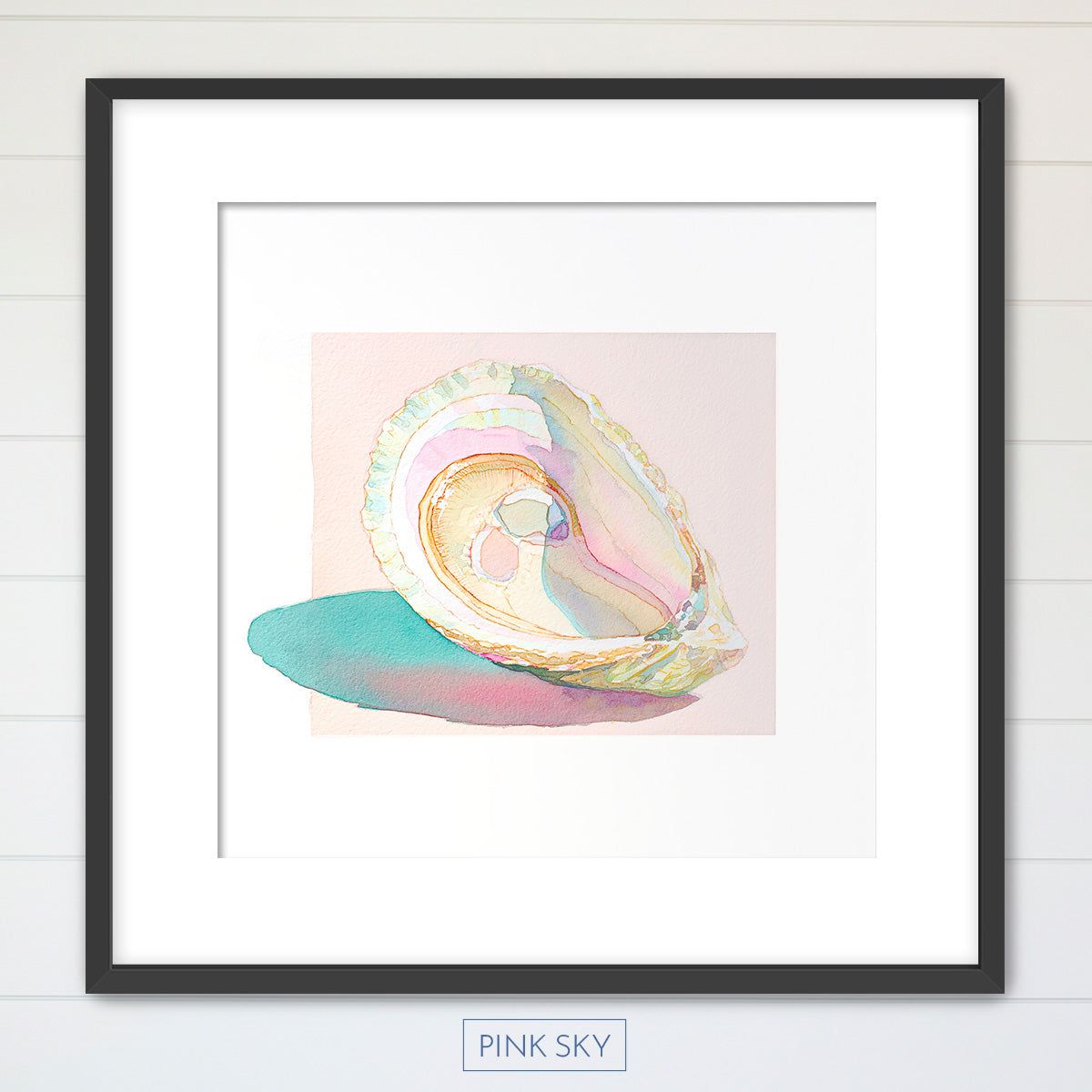 Oyster Shell