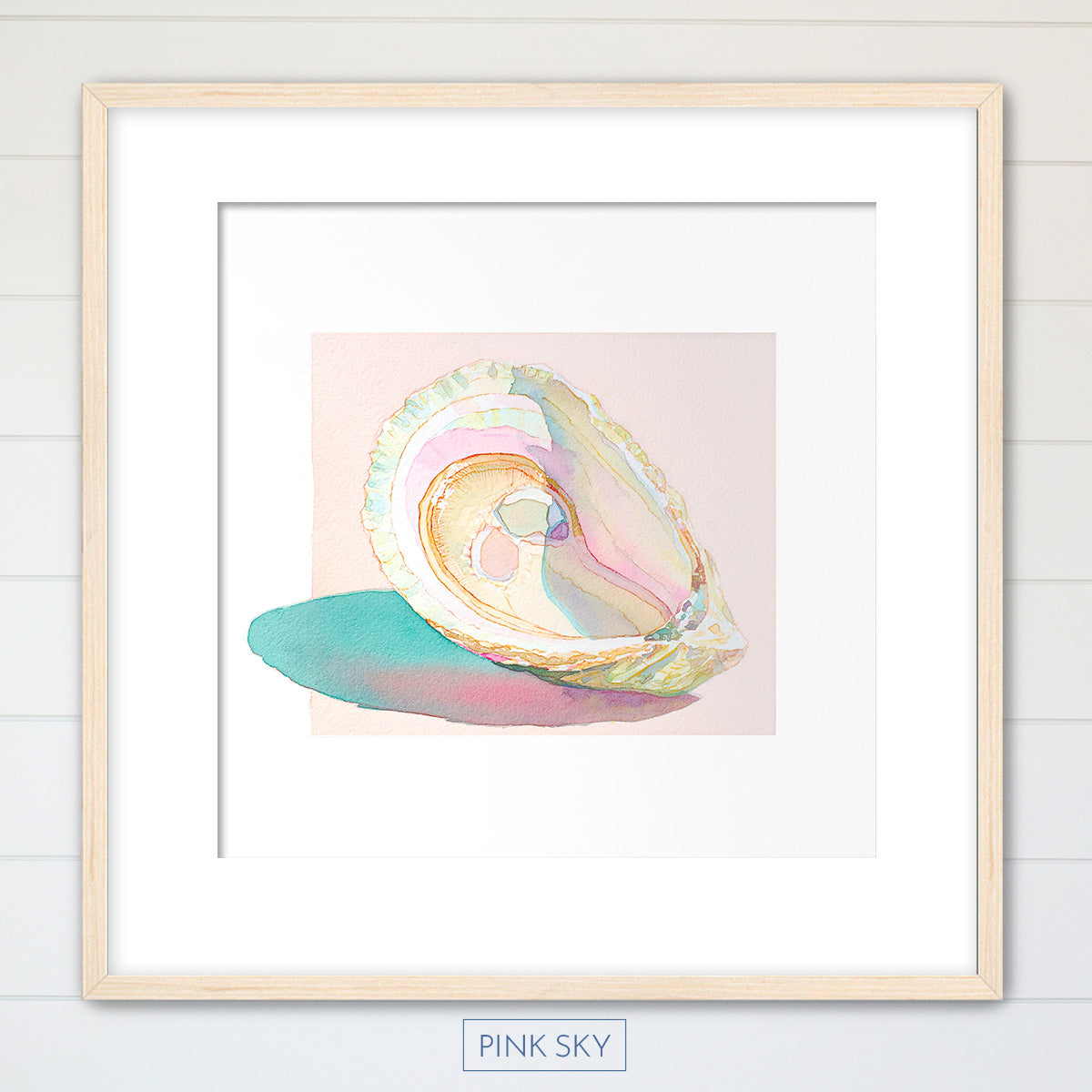Oyster Shell