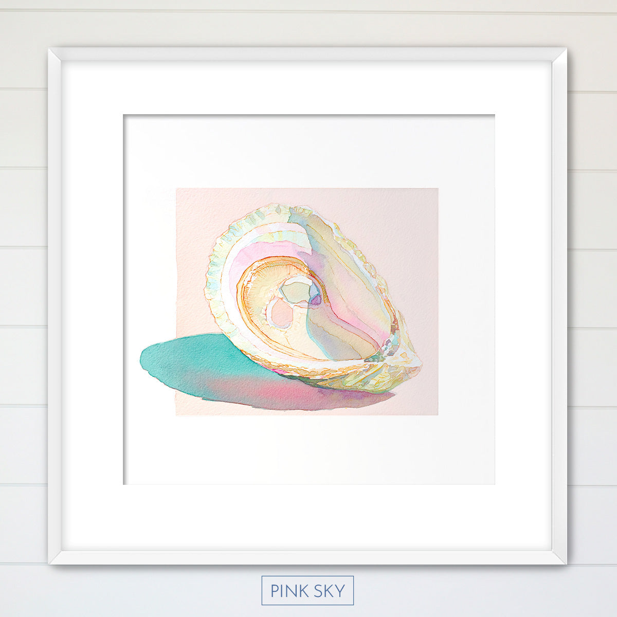 Oyster Shell