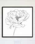 Peony