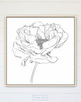 Peony