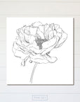 Peony