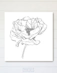 Peony